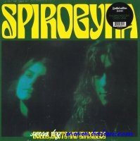 Spirogyra, Bells Boots, and Shambles, Klimt, MJJ421CN
