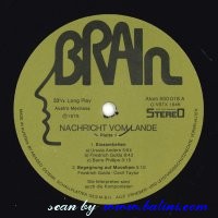 , Brain 500.018-9