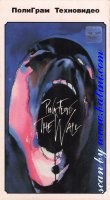 *Movie, The Wall, Polygram, 081 252-3