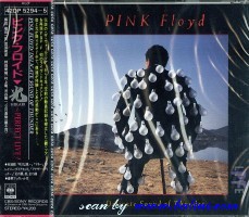 Pink Floyd, Delicate Sound of Thunder, Sony, 42DP 5294.5